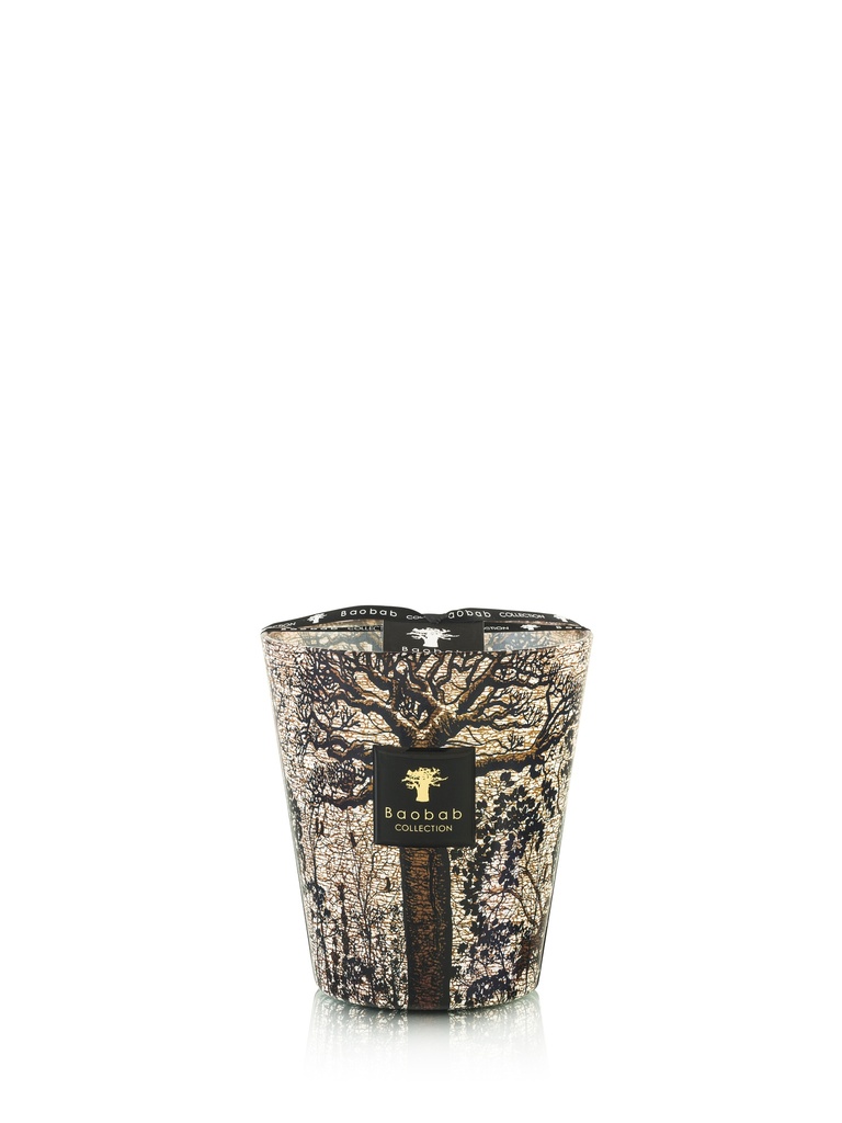 BAOBAB Candle Max 16 - 1Kg - SACRED TREE Morondo - 16 cm - 150 H.