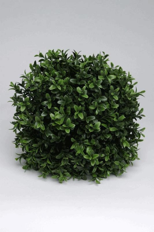 BOXWOOD BALL 25CM 4/12