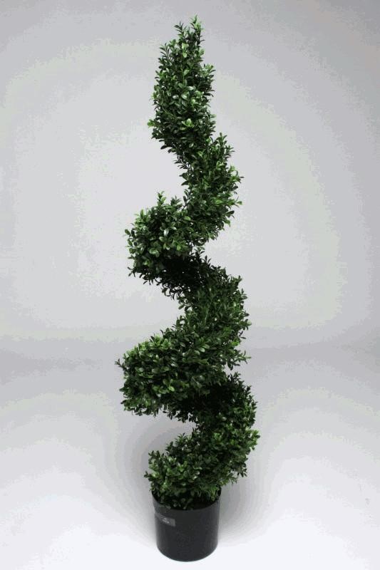 BOXWOOD SPIRAL 1008LVS 120CM 2/10