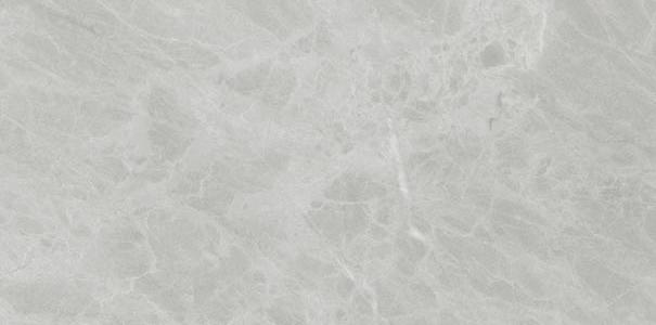 Marmi Classici Gris De Savoie 600x1200x8 ret poli brillant - 1.44 m2 - 18Kg/ m2 - V3