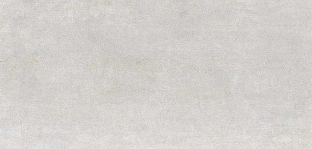 [1215H4653] Lens Ceniza 300x600x8.2 (293x593) rectifié - R10 A - V3 - 1.22 m2 - 18.68 kg/m2 - 48.64 m2/palette