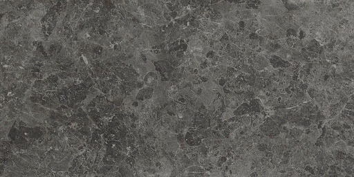 [1217S0260] Pulsar Graphite 600x1200x10 mm (595.8x1195.8) natural plus - rectifié - R10 B - V3 - 1.44 m2 - 23.7 kg/m2 - 38.9 m2/palette