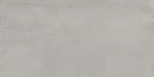 [1215N0137] Appeal Grey 300x600x8.5 mm - rectifié - naturale - R9 - V2 - 1.08 m2 - 18.28 kg/m2 - 51.84 m2/palette