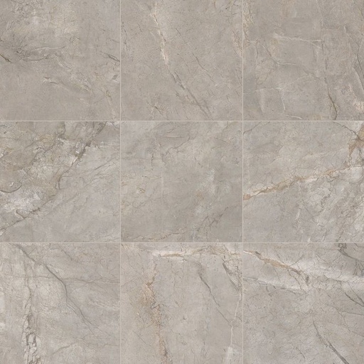 [1218C0189] Elements Lux Silver Grey 600x600x9 (596x596) - lap ret - 1.08m2 - 23.15 kg/ m2 - 43.20 m2/palette